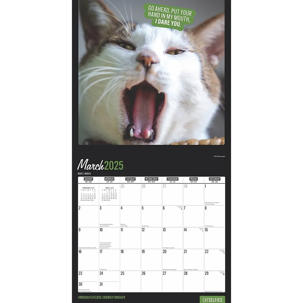 2025 Calendars|BrownTrout 2025 Cat Selfies 12" x 12" Monthly Wall Calendar (9781975474614)