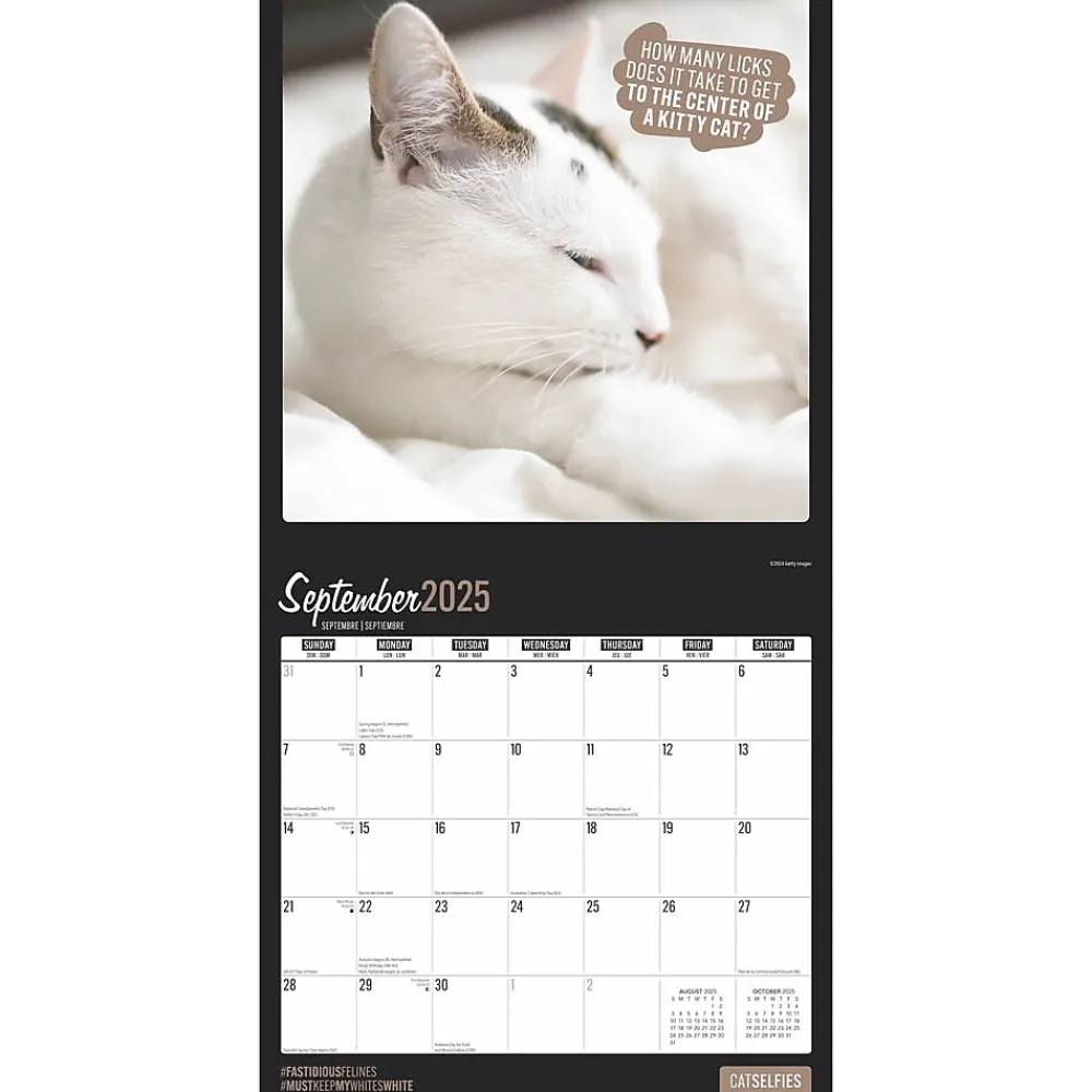 2025 Calendars|BrownTrout 2025 Cat Selfies 12" x 12" Monthly Wall Calendar (9781975474614)