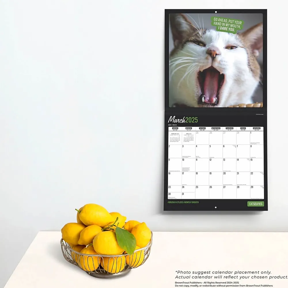 2025 Calendars|BrownTrout 2025 Cat Selfies 12" x 12" Monthly Wall Calendar (9781975474614)