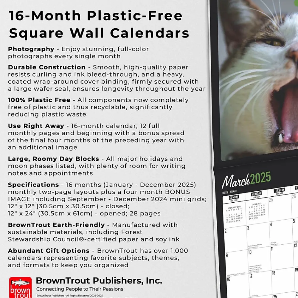 2025 Calendars|BrownTrout 2025 Cat Selfies 12" x 12" Monthly Wall Calendar (9781975474614)