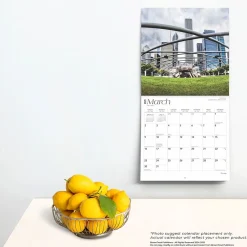 2025 Calendars|BrownTrout 2025 Chicago 12