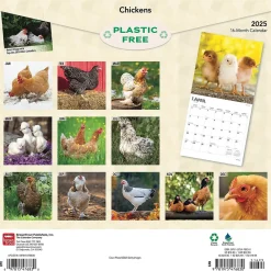 2025 Calendars|BrownTrout 2025 Chickens 12" x 24" Monthly Square Wall Calendar, (9781975476830)