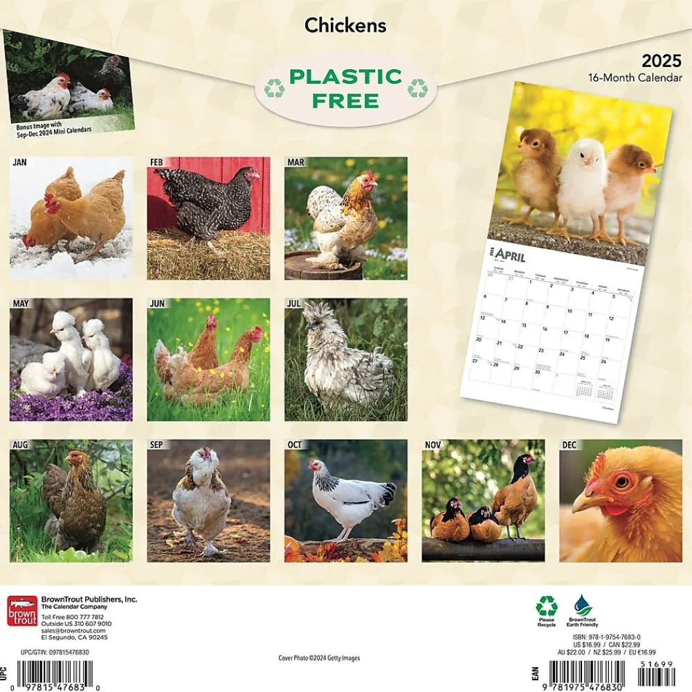 2025 Calendars|BrownTrout 2025 Chickens 12" x 24" Monthly Square Wall Calendar, (9781975476830)