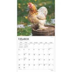 2025 Calendars|BrownTrout 2025 Chickens 12