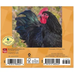 2025 Calendars|BrownTrout 2025 Chickens 6" x 5" Day-to-Day Desktop Box Calendar (9781975483425)