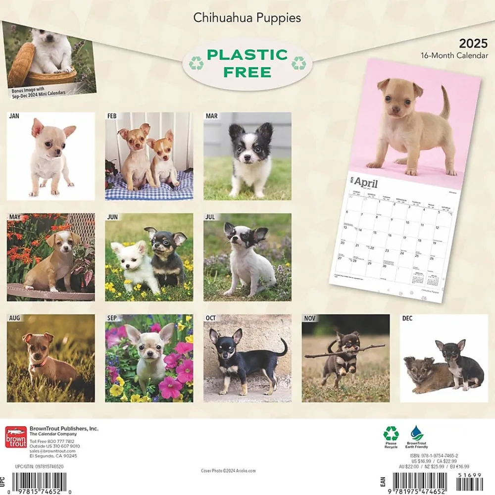 2025 Calendars|BrownTrout 2025 Chihuahua Puppies 12" x 12" Monthly Wall Calendar (9781975474652)