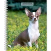 2025 Planners|BrownTrout 2025 Chihuahuas 6" x 7.75" Weekly Engagement Planner, Paper Cover, Multicolored (9781975480622)