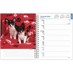 2025 Planners|BrownTrout 2025 Chihuahuas 6