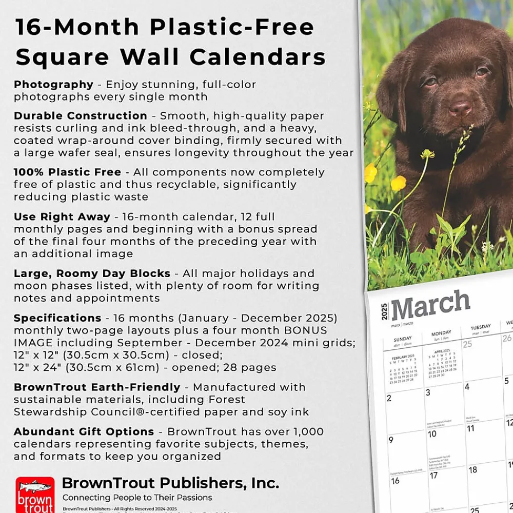 2025 Calendars|BrownTrout 2025 Chocolate Labrador Retriever Puppies 12" x 12" Monthly Wall Calendar (9781975477325)