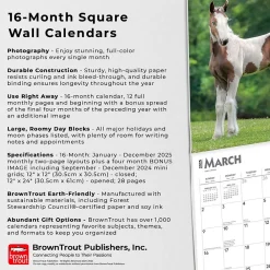 2025 Calendars|BrownTrout 2025 Colts and Fillies 12