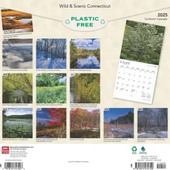 2025 Calendars|BrownTrout 2025 Connecticut Wild & Scenic 12" x 24" Monthly Square Wall Calendar (9781975474720)