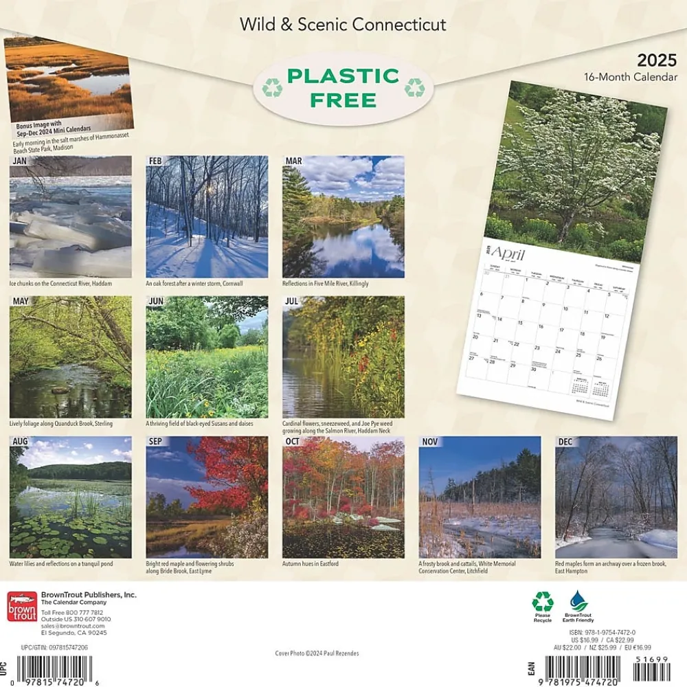 2025 Calendars|BrownTrout 2025 Connecticut Wild & Scenic 12" x 24" Monthly Square Wall Calendar (9781975474720)