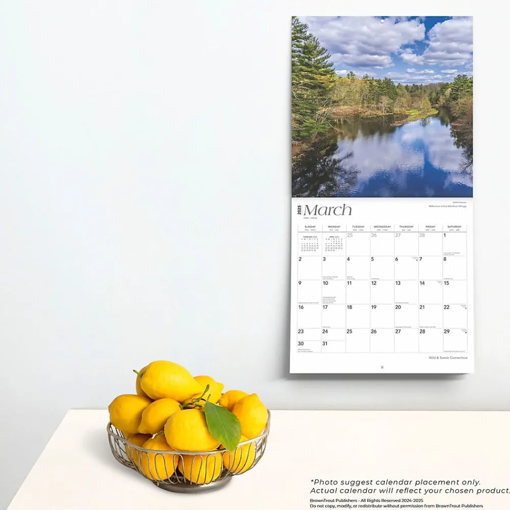 2025 Calendars|BrownTrout 2025 Connecticut Wild & Scenic 12" x 24" Monthly Square Wall Calendar (9781975474720)