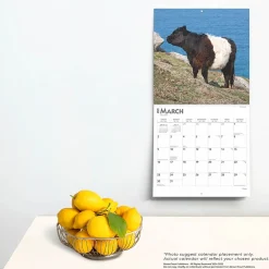 2025 Calendars|BrownTrout 2025 Cows 12