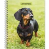 2025 Planners|BrownTrout 2025 Dachshunds 6" x 7.75" Weekly Engagement Planner, Paper Cover, Multicolored (9781975473174)