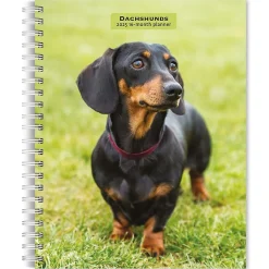2025 Planners|BrownTrout 2025 Dachshunds 6" x 7.75" Weekly Engagement Planner, Paper Cover, Multicolored (9781975473174)
