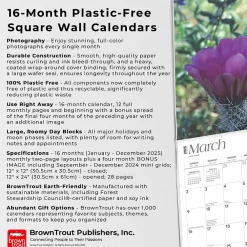 2025 Calendars|BrownTrout 2025 Desert Wildflowers 12