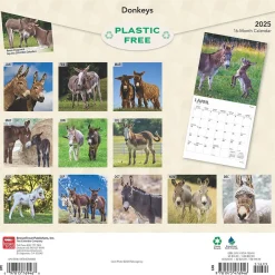 2025 Calendars|BrownTrout 2025 Donkeys 12" x 24" Monthly Square Wall Calendar, (9781975476946)