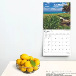 2025 Calendars|BrownTrout 2025 Florida Coast 12