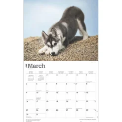 2025 Calendars|BrownTrout 2025 For the Love of Siberian Huskies 7