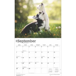 2025 Calendars|BrownTrout 2025 For the Love of Siberian Huskies 7