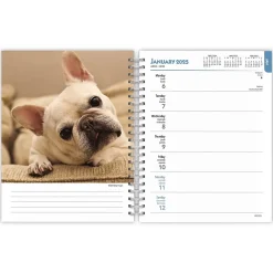 2025 Planners|BrownTrout 2025 French Bulldogs 6