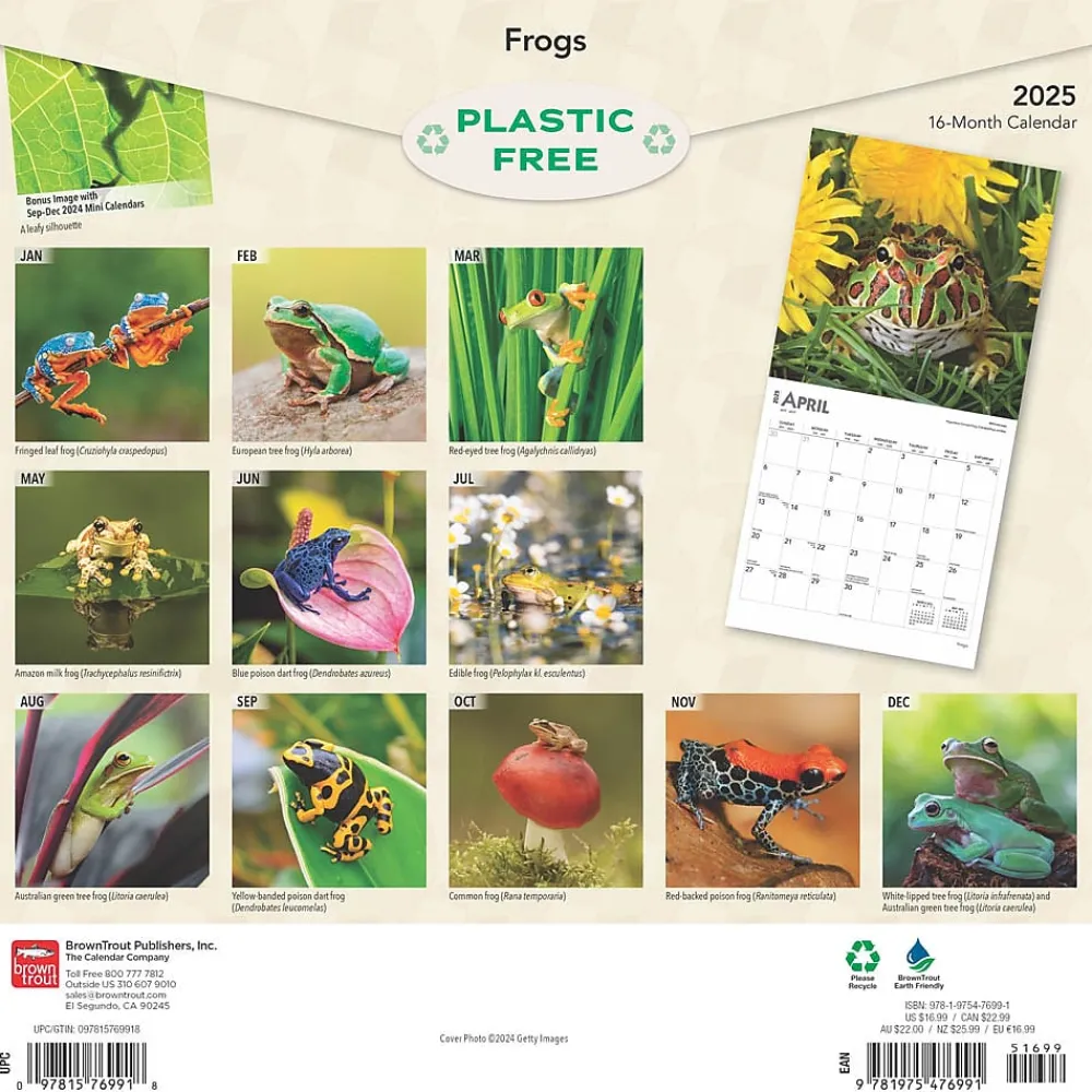 2025 Calendars|BrownTrout 2025 Frogs 12" x 24" Monthly Square Wall Calendar (9781975476991)