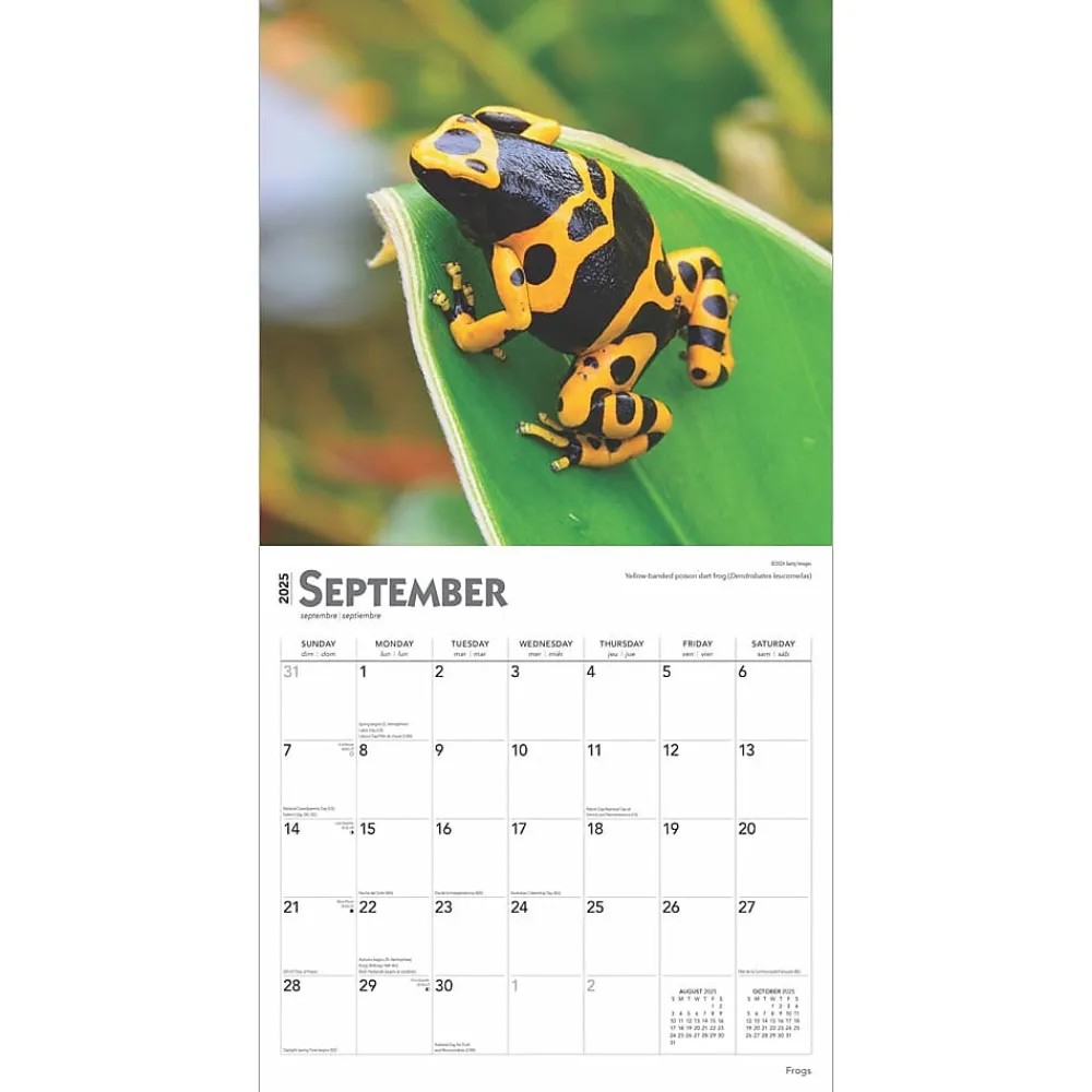 2025 Calendars|BrownTrout 2025 Frogs 12" x 24" Monthly Square Wall Calendar (9781975476991)