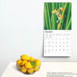 2025 Calendars|BrownTrout 2025 Frogs 12