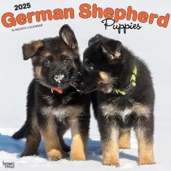 2025 Calendars|BrownTrout 2025 German Shepherd Puppies 12" x 12" Monthly Square Wall Calendar (9781975477004)