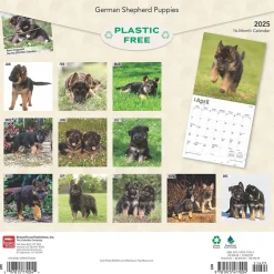 2025 Calendars|BrownTrout 2025 German Shepherd Puppies 12" x 12" Monthly Square Wall Calendar (9781975477004)