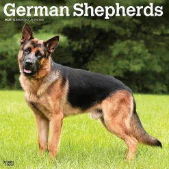 2025 Calendars|BrownTrout 2025 German Shepherds 12" x 12" Monthly Square Wall Calendar (9781975477011)