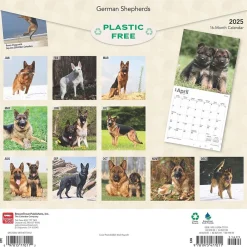 2025 Calendars|BrownTrout 2025 German Shepherds 12" x 12" Monthly Square Wall Calendar (9781975477011)
