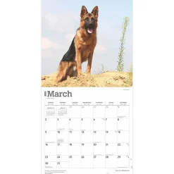 2025 Calendars|BrownTrout 2025 German Shepherds 12