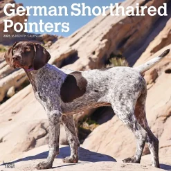 2025 Calendars|BrownTrout 2025 German Shorthaired Pointers 12" x 12" Monthly Square Wall Calendar (9781975477028)