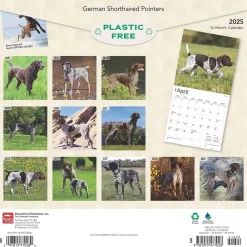 2025 Calendars|BrownTrout 2025 German Shorthaired Pointers 12" x 12" Monthly Square Wall Calendar (9781975477028)