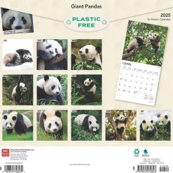 2025 Calendars|BrownTrout 2025 Giant Pandas 12" x 12" Monthly Wall Calendar (9781975474843)