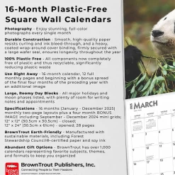 2025 Calendars|BrownTrout 2025 Giant Pandas 12
