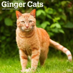 2025 Calendars|BrownTrout 2025 Ginger Cats 12" x 12" Monthly Wall Calendar (9781975477035)