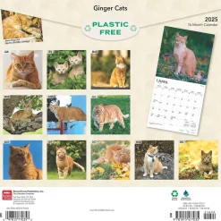 2025 Calendars|BrownTrout 2025 Ginger Cats 12" x 12" Monthly Wall Calendar (9781975477035)