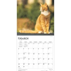 2025 Calendars|BrownTrout 2025 Ginger Cats 12