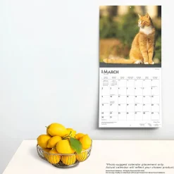 2025 Calendars|BrownTrout 2025 Ginger Cats 12