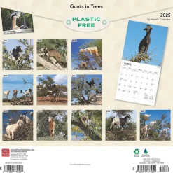 2025 Calendars|BrownTrout 2025 Goats in Trees 12" x 12" Monthly Square Wall Calendar (9781975477059)