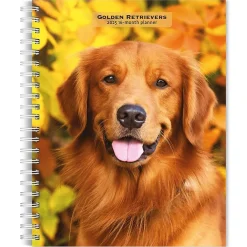 2025 Planners|BrownTrout 2025 Golden Retrievers 6" x 7.75" Weekly Engagement Planner, Paper Cover, Multicolored (9781975473150)