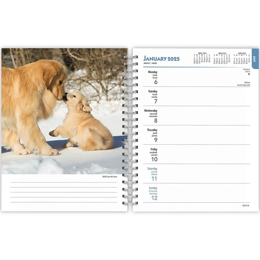 2025 Planners|BrownTrout 2025 Golden Retrievers 6" x 7.75" Weekly Engagement Planner, Paper Cover, Multicolored (9781975473150)