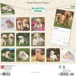 2025 Calendars|BrownTrout 2025 Golden Retriever Puppies 12" x 12" Monthly Square Wall Calendar (9781975477066)