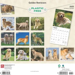 2025 Calendars|BrownTrout 2025 Golden Retrievers 12" x 12" Monthly Square Wall Calendar (9781975477073)