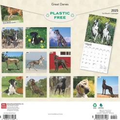 2025 Calendars|BrownTrout 2025 Great Danes 12" x 12" Monthly Square Wall Calendar (9781975477103)