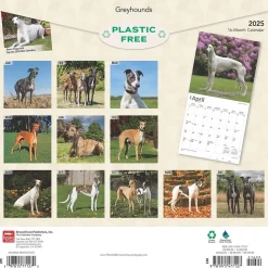 2025 Calendars|BrownTrout 2025 Greyhounds 12" x 12" Monthly Wall Calendar (9781975477127)