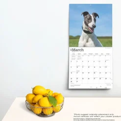 2025 Calendars|BrownTrout 2025 Greyhounds 12